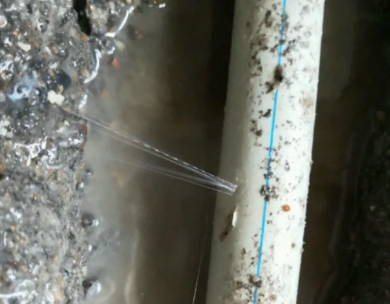 石首测漏水哪家好