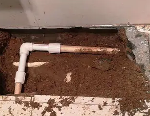 石首测漏水哪家好