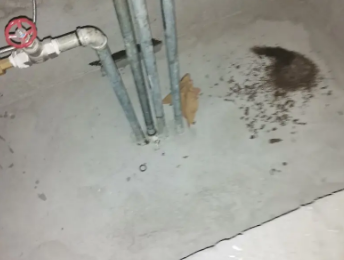 石首卫生间测漏水价格明细