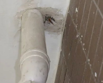 石首漏水检测哪家好